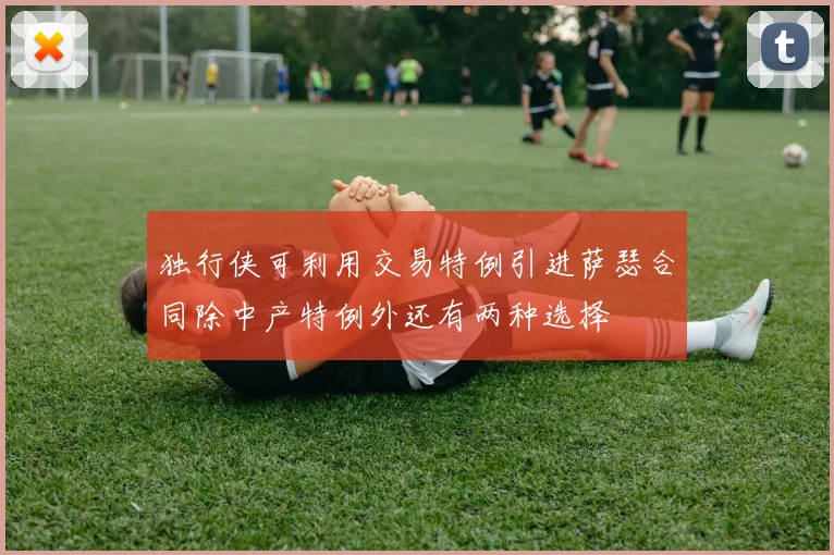 独行侠可利用交易特例引进萨瑟合同除中产特例外还有两种选择