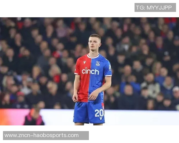 曼联计划引援中场目标锁定安德森沃顿和巴莱巴 曼联计划引援中场目标锁定安德森沃顿和巴莱巴